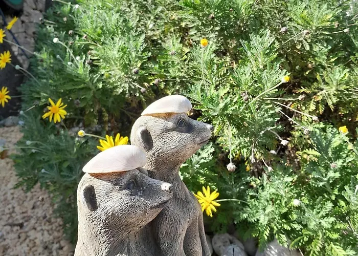 Casa Katalyna * Orba