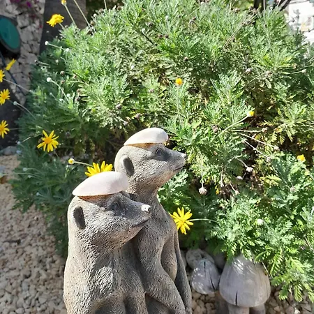 Casa Katalyna * Orba